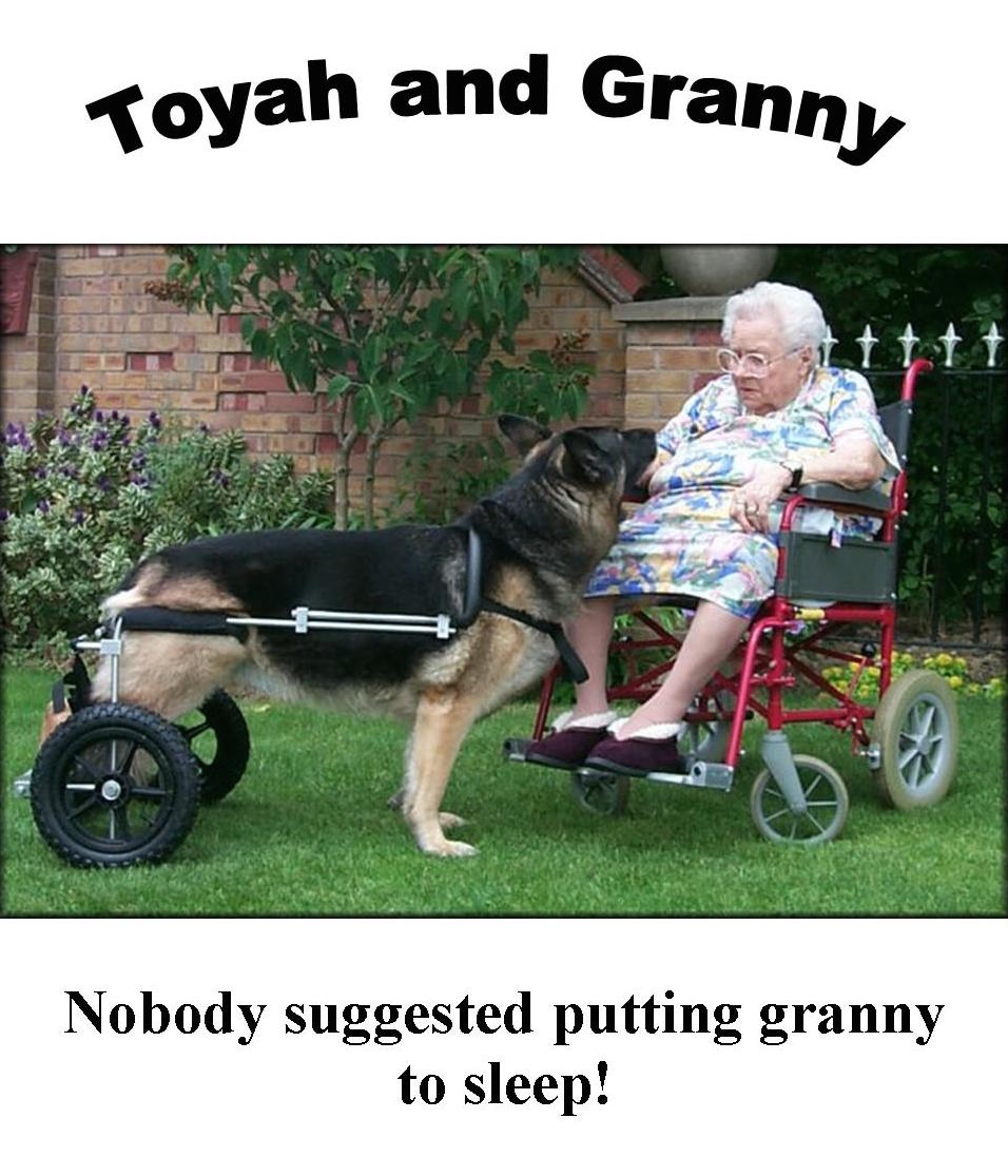 Alles klar.jpg (956 x 1115)